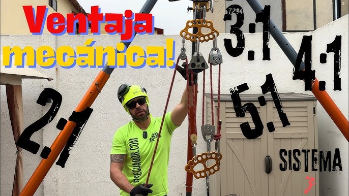 FISICA