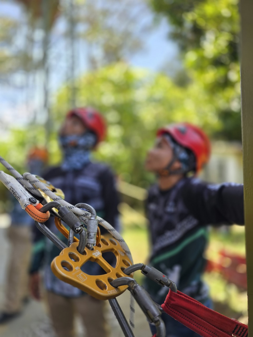TÉCNICO